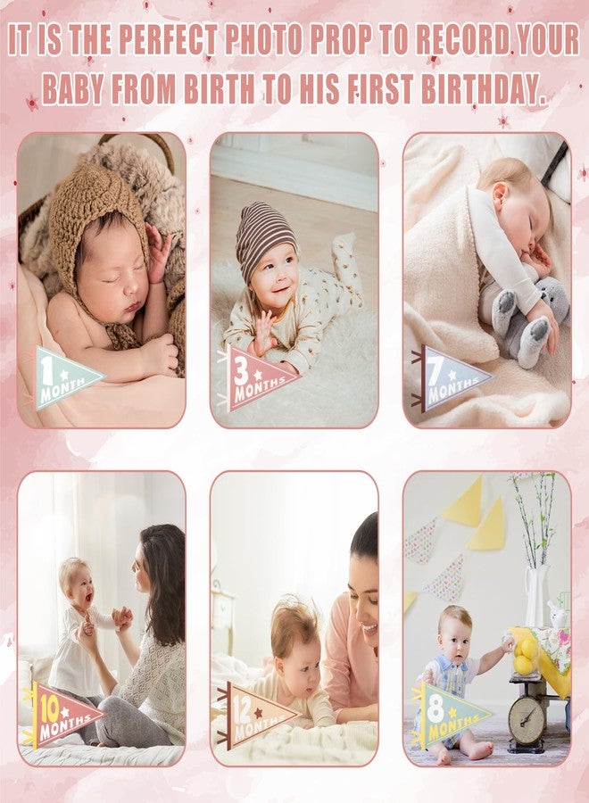 PEUTIER 14pcs Baby Milestone Flags, Felt Monthly Milestone Pennant Flag Colorful Baby Milestone Signs for Newborn Baby Shower 1st Birthday Party Decorations (Pattern 1) - Image 5